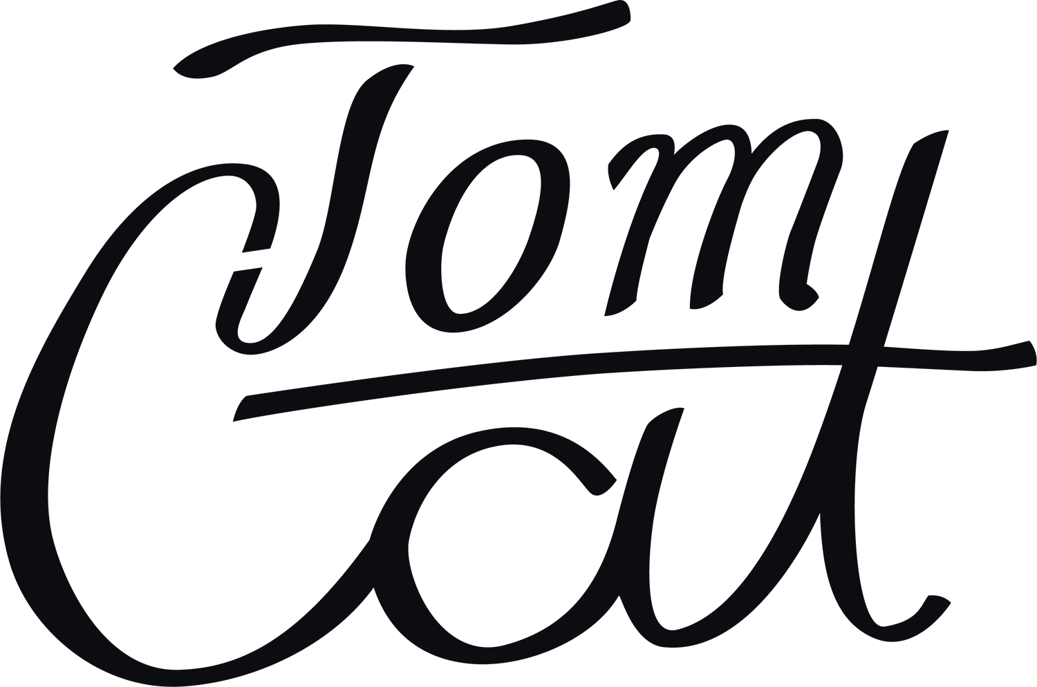 tomcatskate.com